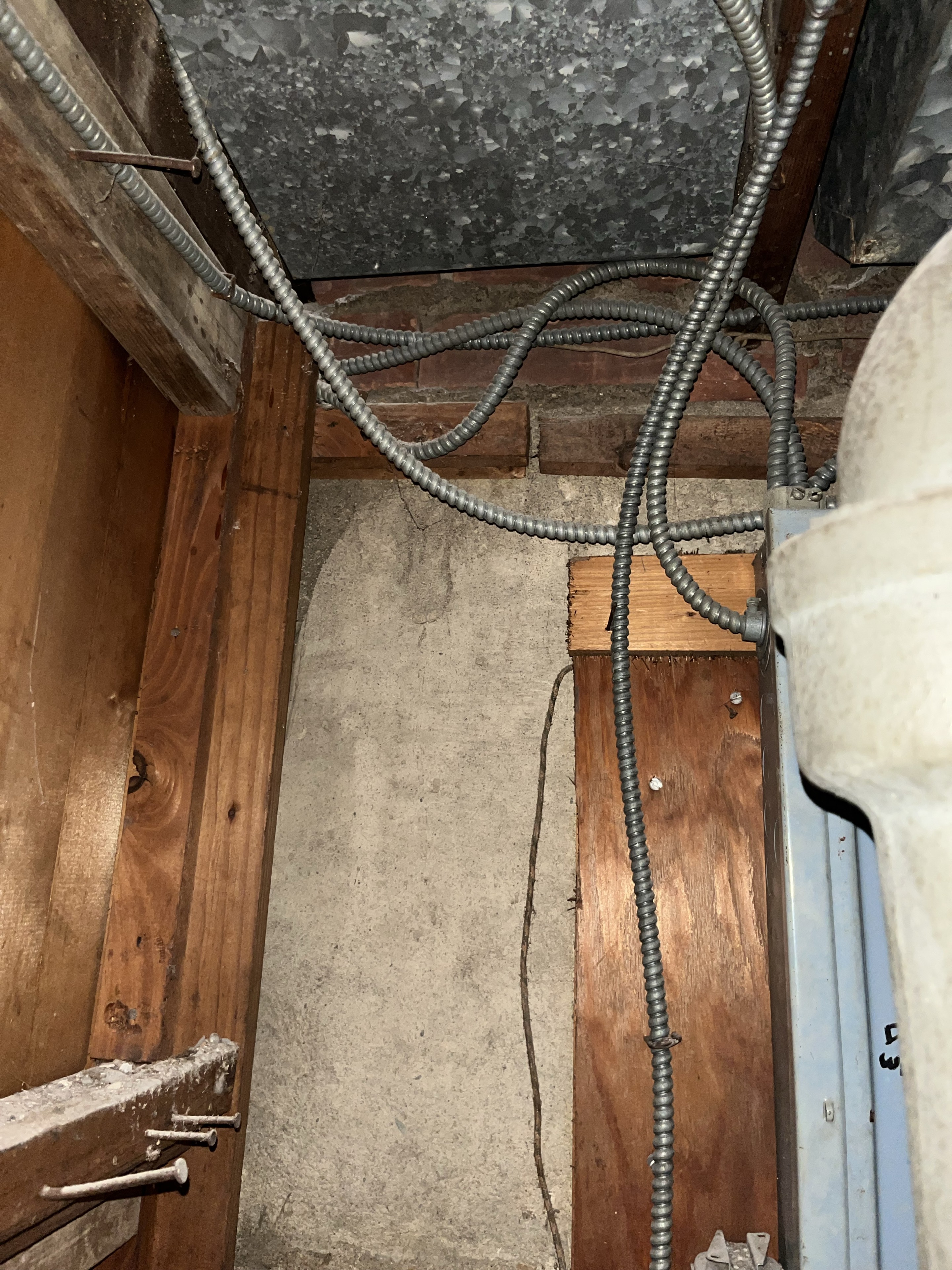 Rodent entry point inspection around basement utility lines