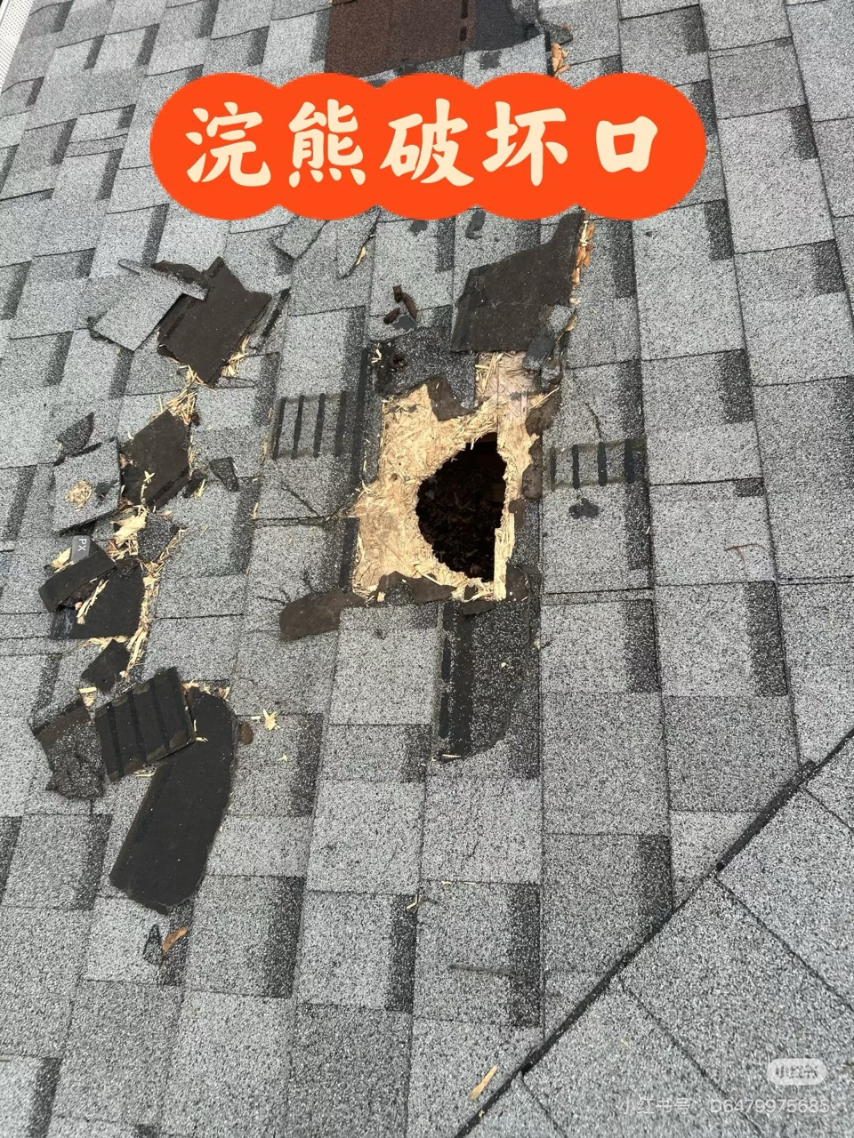 Mouse entry point sealing and prevention