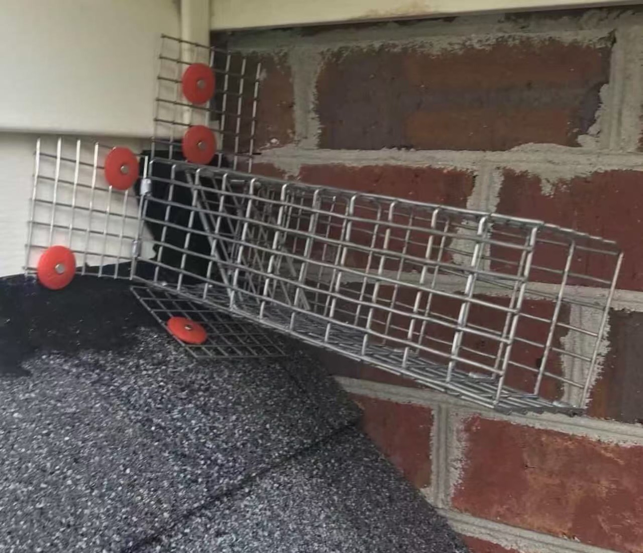 One-way door installation for wildlife entry defense