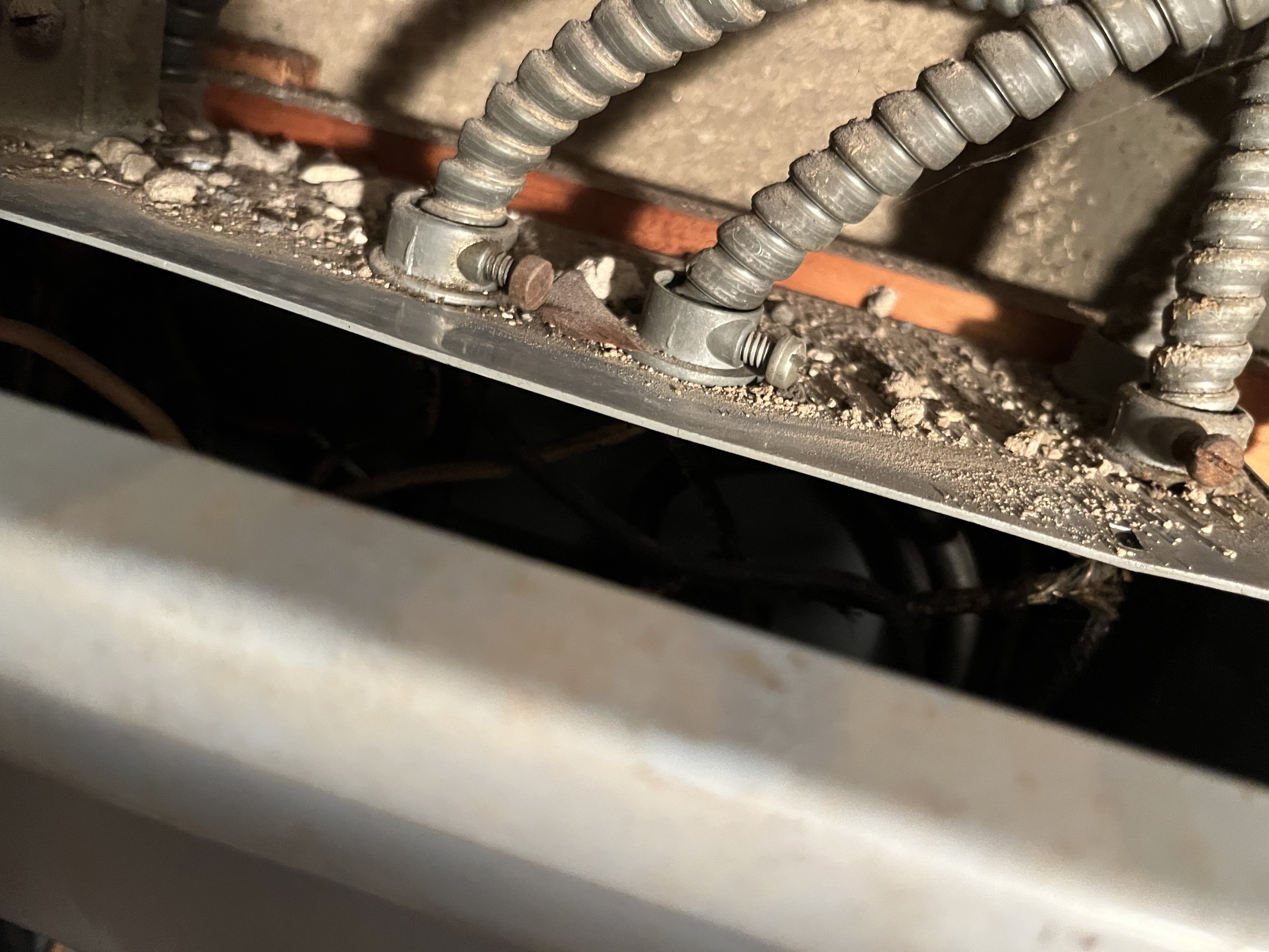 Rodent entry point inspection around basement utility lines