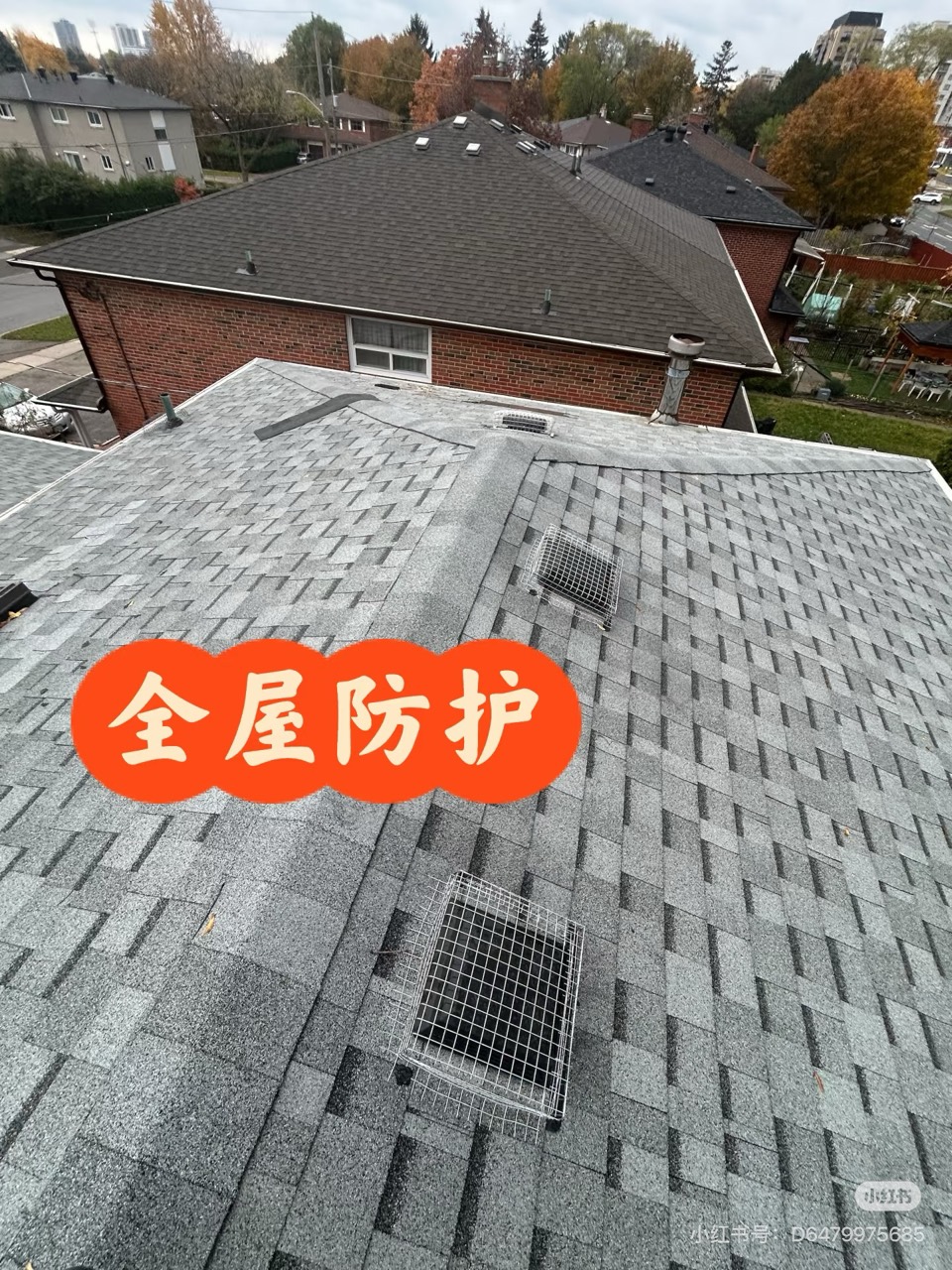 Wire mesh exclusion for exterior pest and wildlife prevention