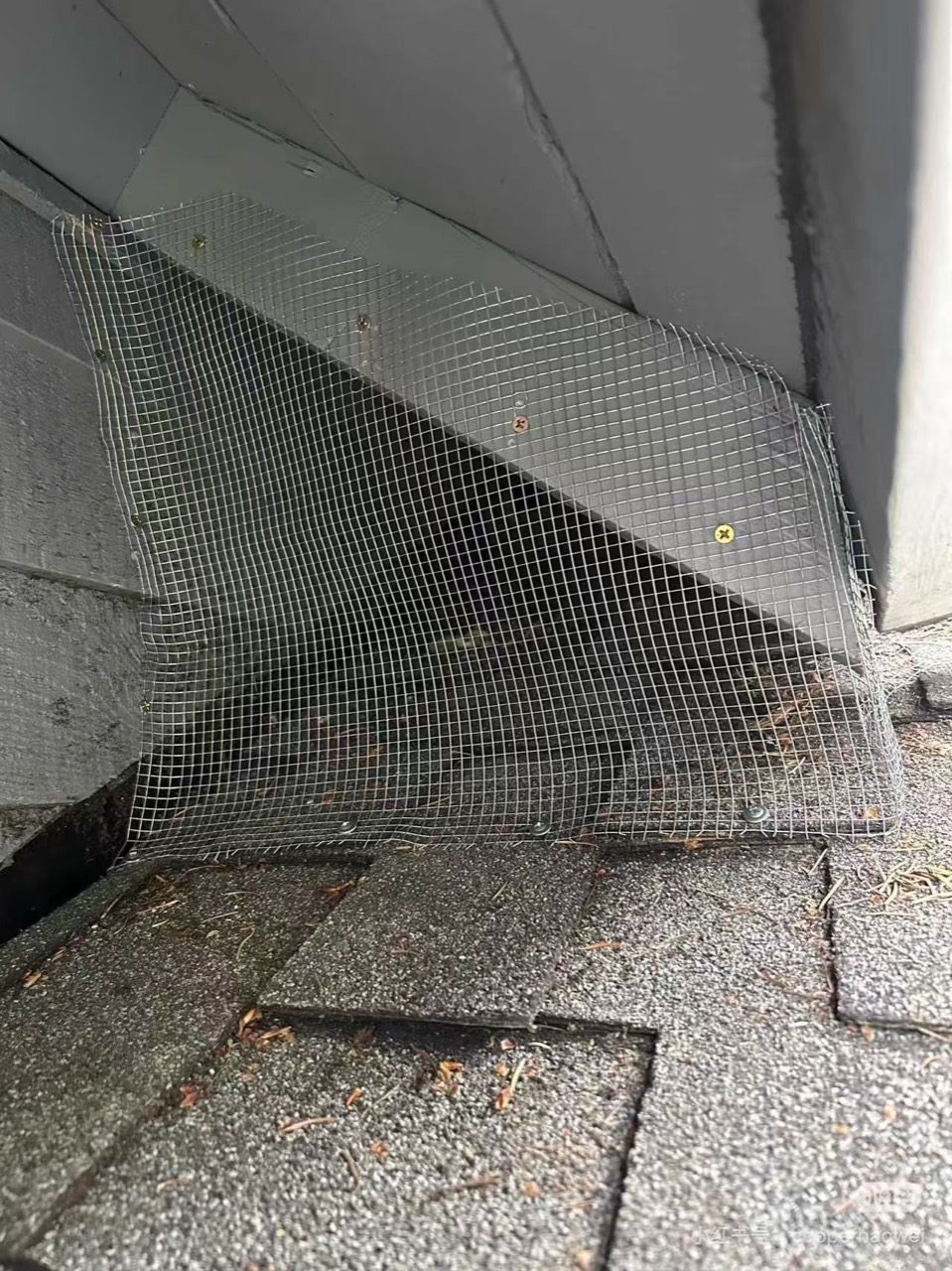 Wire mesh exclusion for exterior pest and wildlife prevention